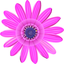 Decoración floral