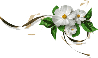 Decoración floral